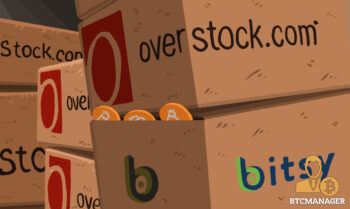  overstock bitsy investment retailer company website announced 
