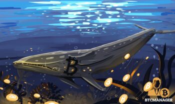  bitcoin 44k data below whales bought dip 