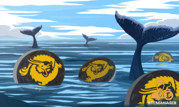  bitcoin volume bsv whales blockchain comes percent 