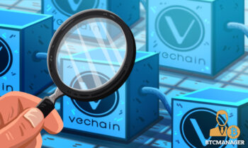  council supply vechain provenance transparency adopted vet 
