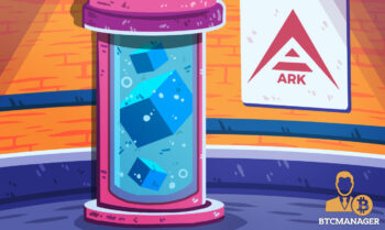  ark blockchain protokol technology enterprise platform designed 
