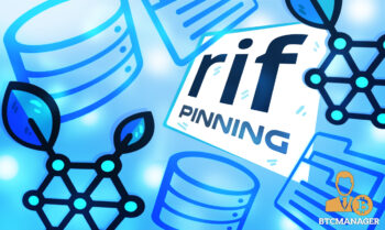  rif ipfs storage solution pinning all address 