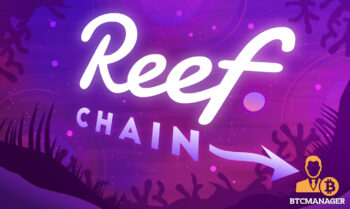  reef grant chain launch development enhance 20m 