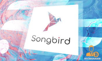  flare network canary observation stage songbird networks 