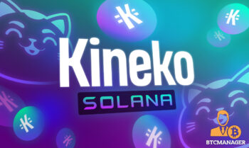  betting kineko solana momentum substantial gained company 