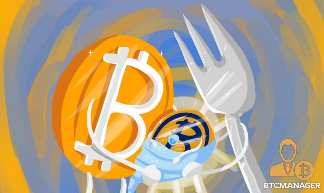 Bitcoin Forks Again Giving Birth To Bitcoin Gold Btcmanager - 