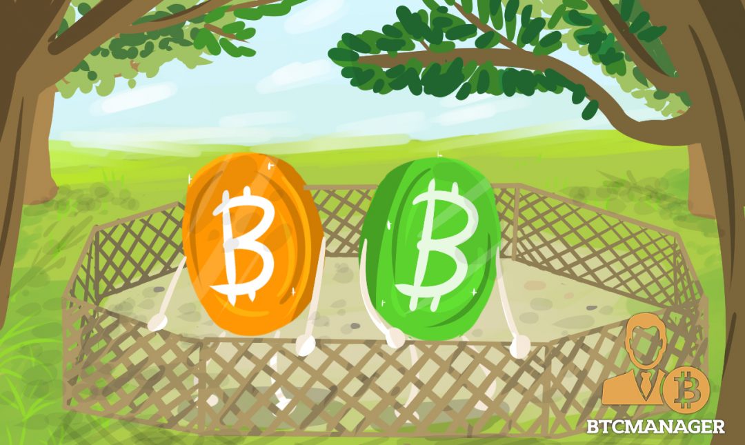 Fulfilling A Diverse Ecosystem of Coins: Bitcoin Cash and Bitcoin
