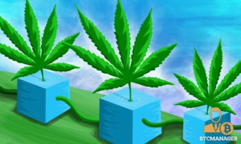 Cannabis reaching out of blockchains
