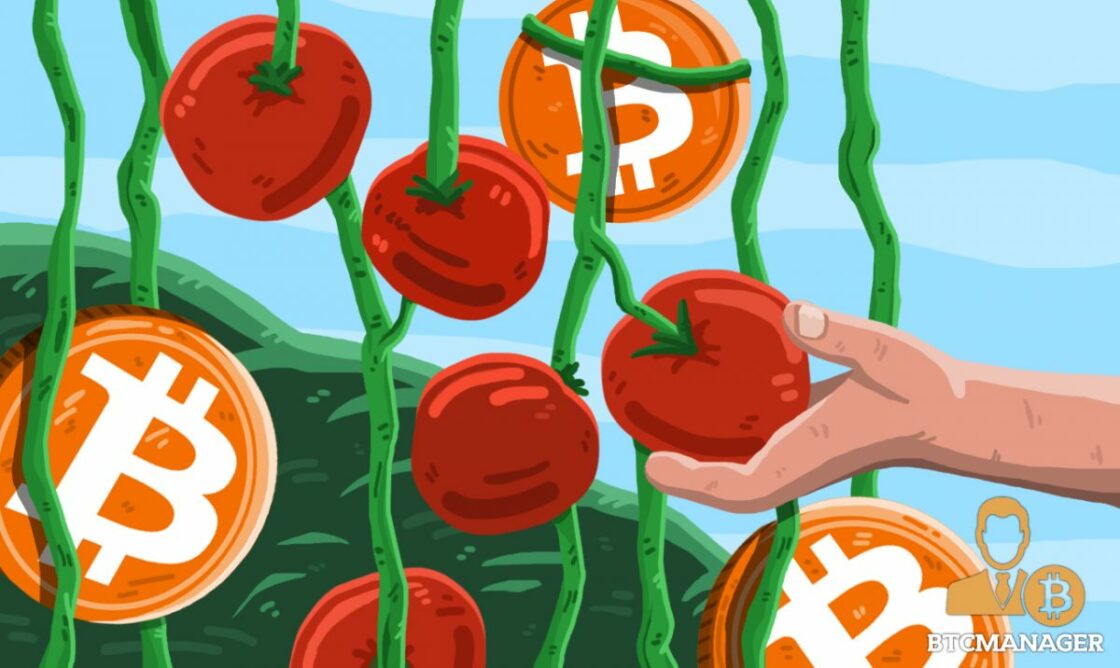 Bitcoin Pioneer Harnessing Excess Mining Heat to Produce Cash Crops