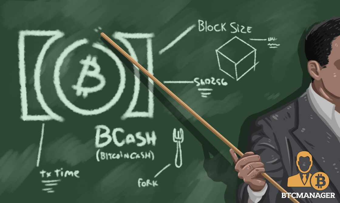bitcoin cash tx