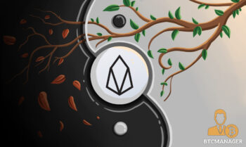 Weighing the Pros and Cons of the EOS platform