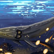 Crypto Whales Wallet Movements Show a Drop in Bitcoin (BTC) and Ether (ETH) Holdings thumbnail