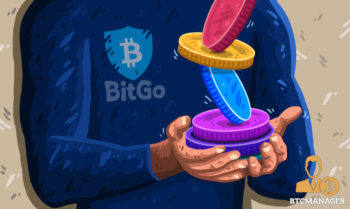 Blue Sweatered Person Holding Stack of Stablecoins