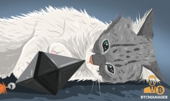 Kitten Playing with an Ethereum Shard