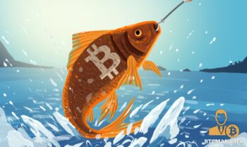 Bitcoin Fish Caught out of Water