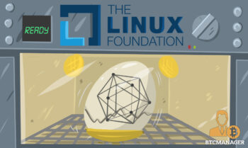 Hyperledger Branded Egg inside a Linux Foundation Incubator