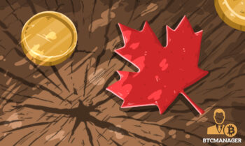 Maple Leaf next to a Golden Coin on a Tree Stump