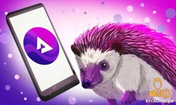 Purple Hedgehog next to a Smartphone