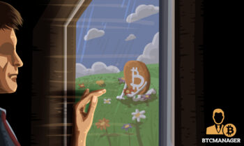 Person Looking out the Window at a Bitcoin Picking Flowers