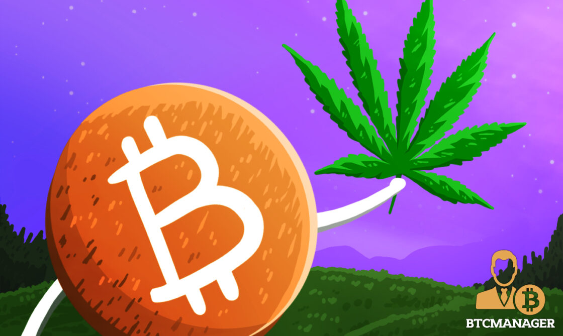 Bitcoin holding a dank green cannabis leaf