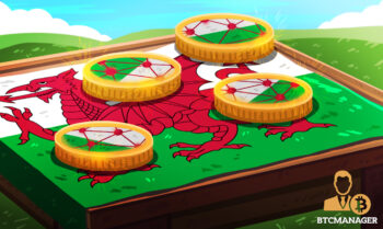 Welsh Dragon Flag coins crypto