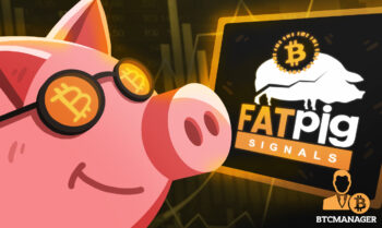 Fat Pig Signals - A Crypto Signals