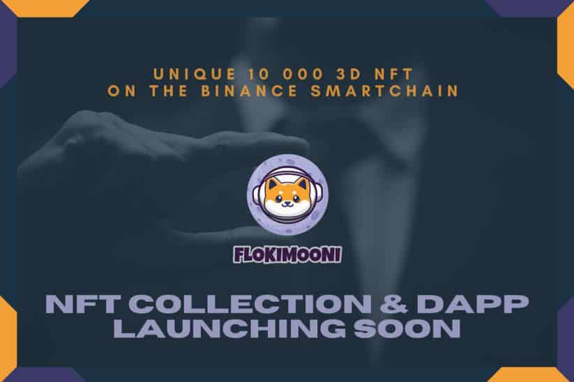 El ecosistema de FlokiMooni se está calentando: la colección NFT se lanzará pronto |  GERENTE DE BTCM